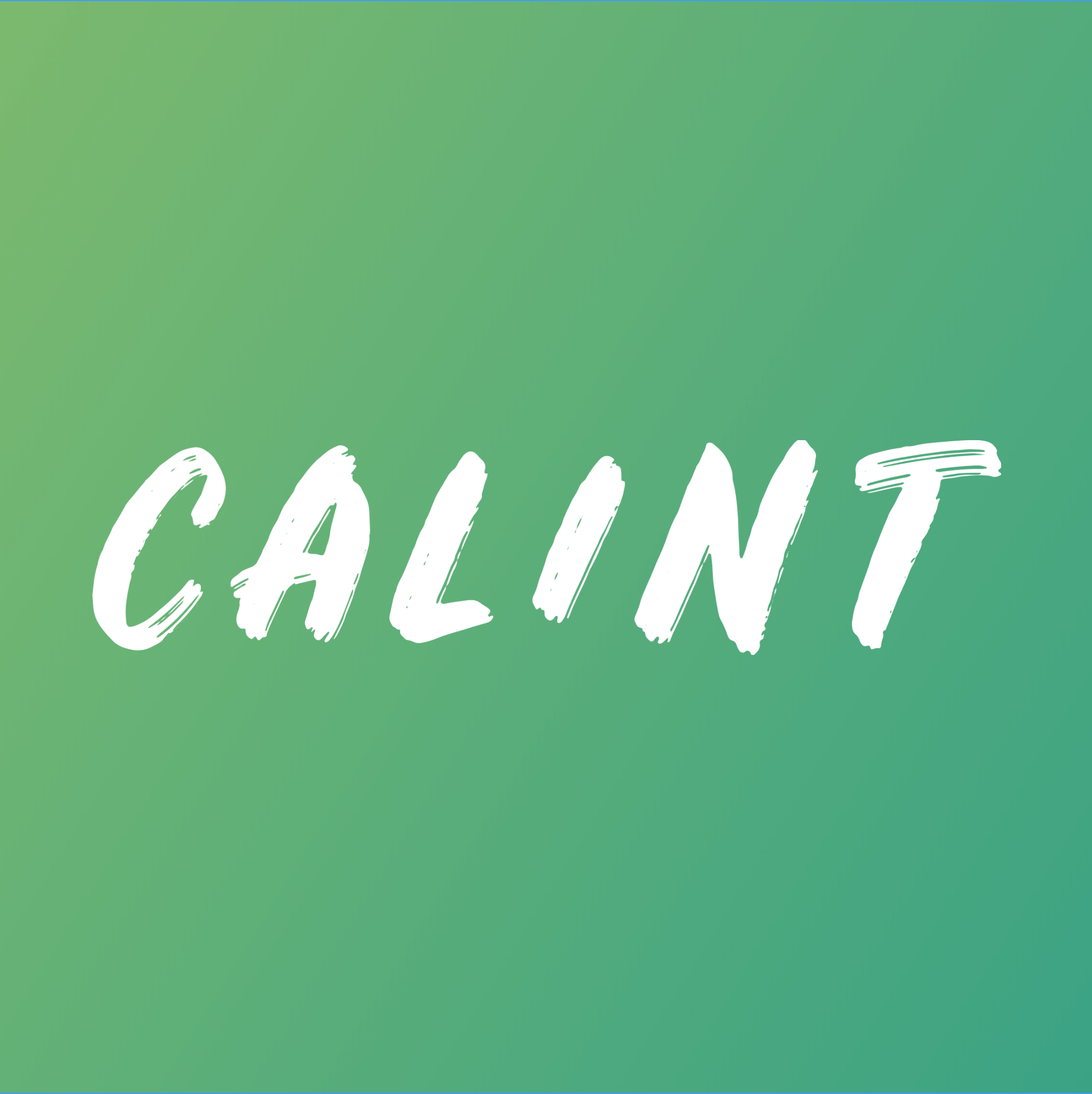 開発をお手伝いさせていただいたプロットマッピングカメラアプリ「CALINT」がリリースされました